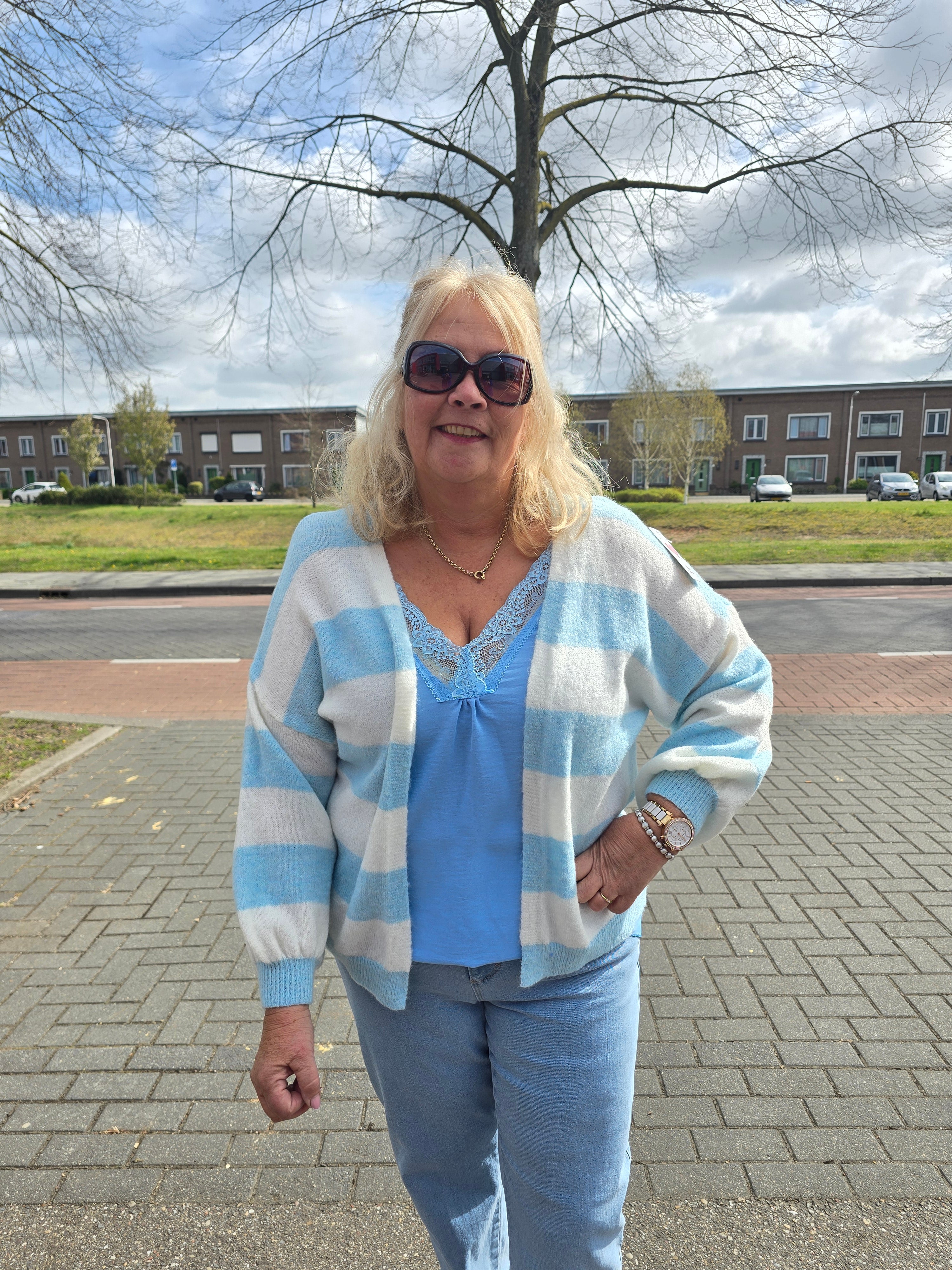 Vest met streep Dinie Licht Blauw t/m 48