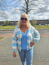 Vest met streep Dinie Licht Blauw t/m 48