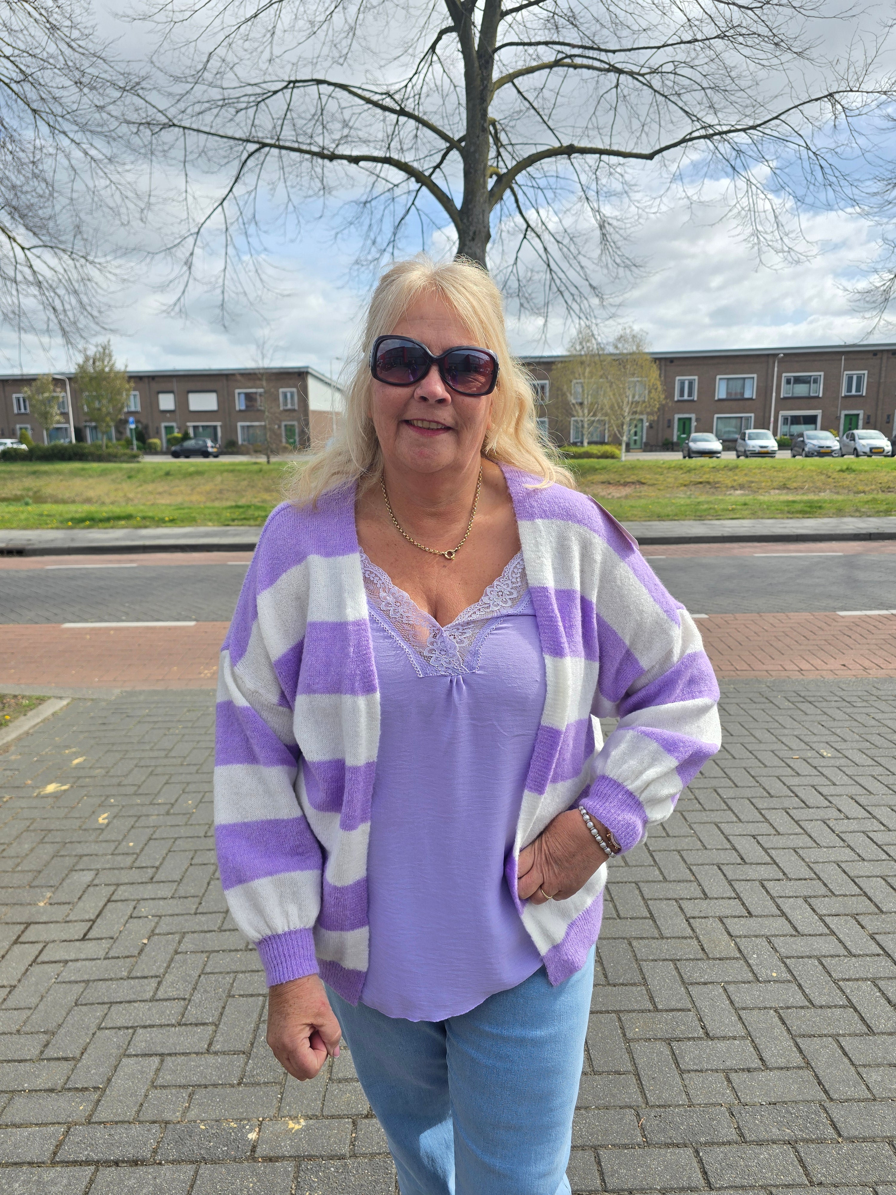 Vest met streep Dinie Lila t/m 48