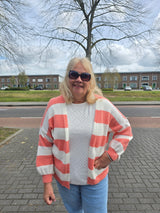 Vest met streep Dinie Peach t/m 48