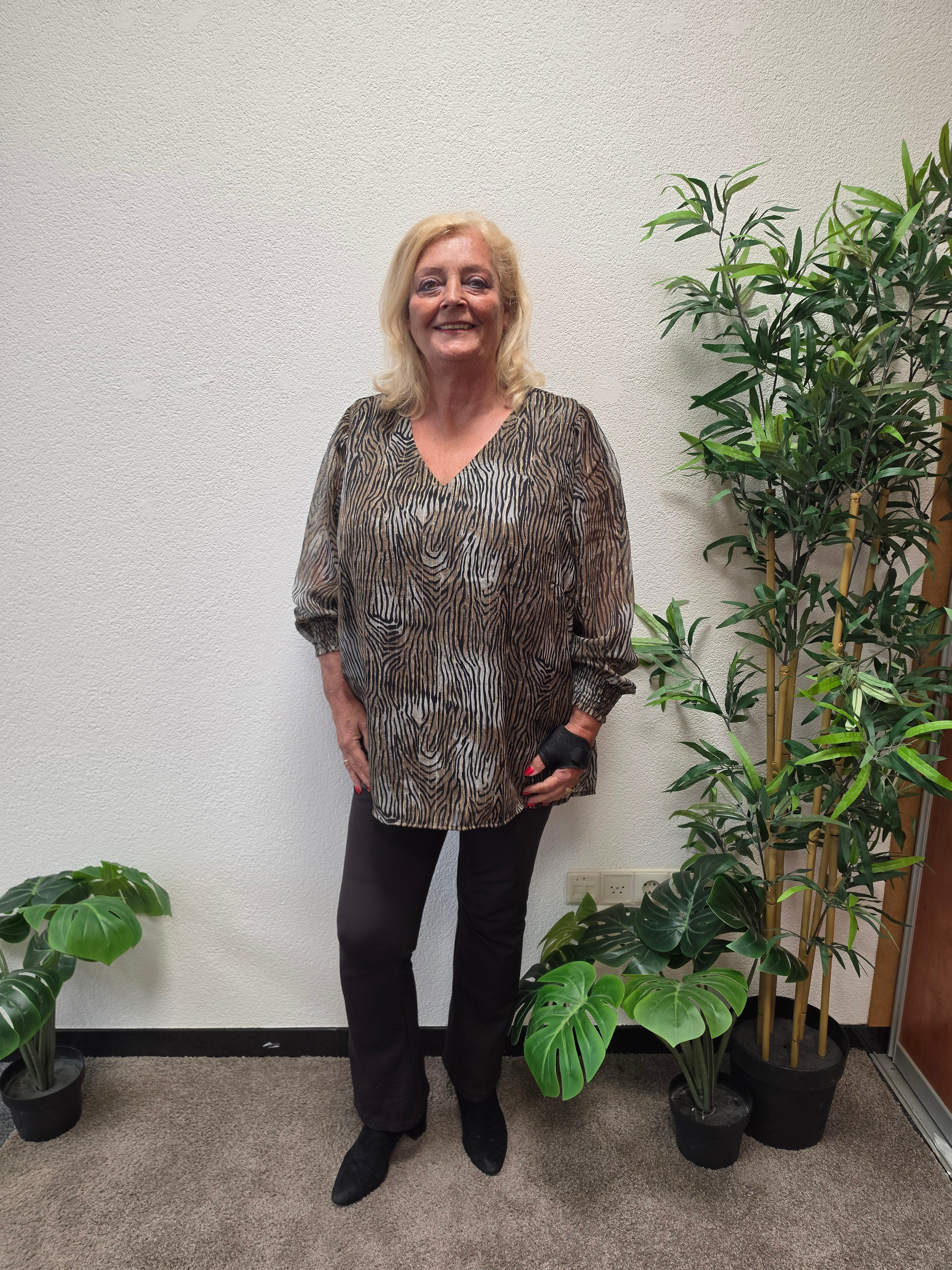 Blouse Carsoey zebra Glitter Taupe Gray