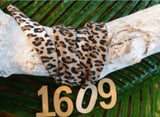 Lint print 1609 Leopard