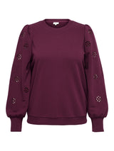 Sweat Trui Carfemme Fig