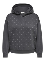 Sweat Trui Caralba Aspahlt / Silver eye