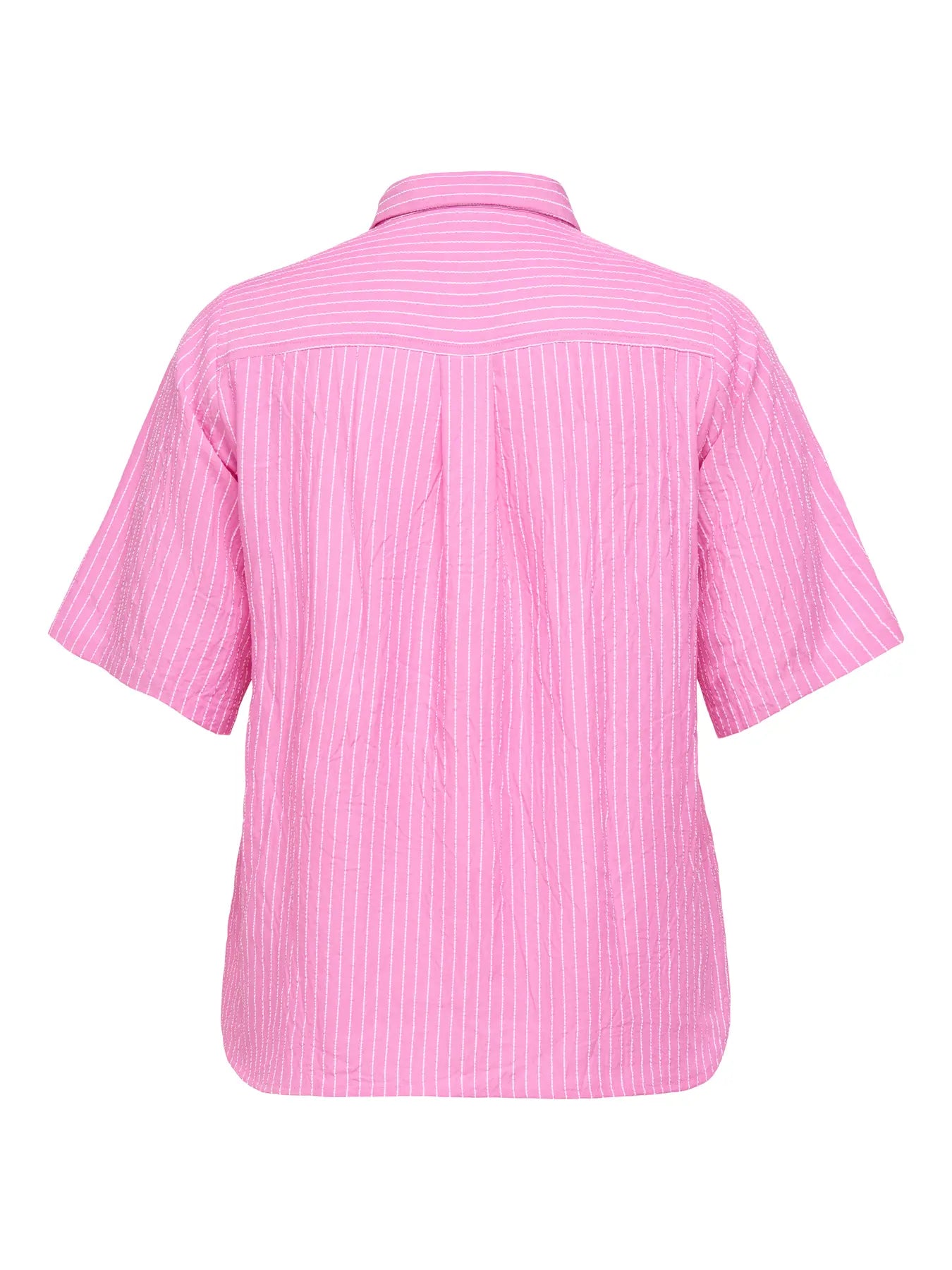 Blouse Cardea Stripe Wild Orchid