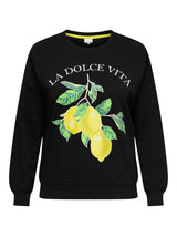Trui Carlacey Black/La Dolce