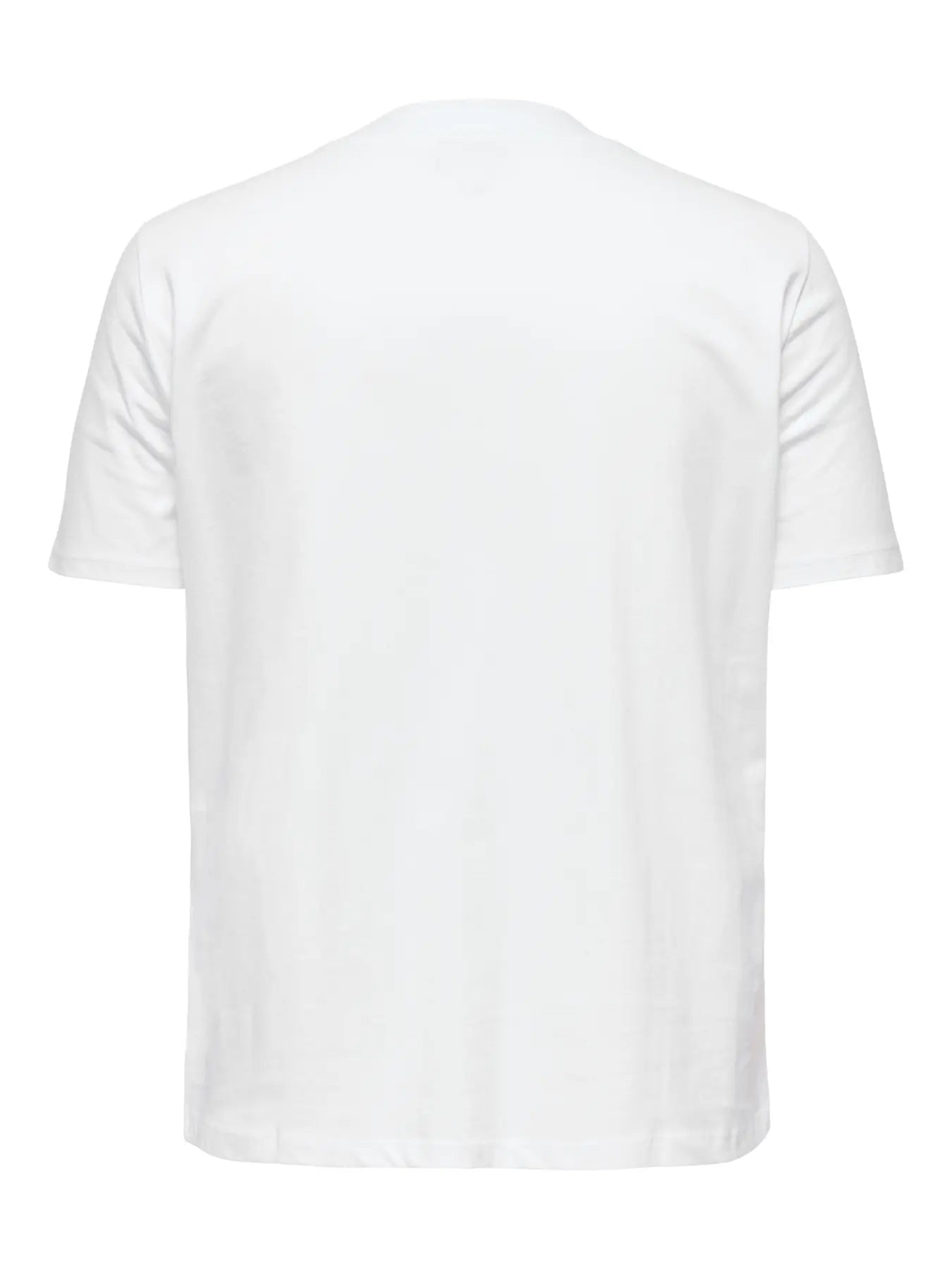 Shirt Cardianna Bright White/New york