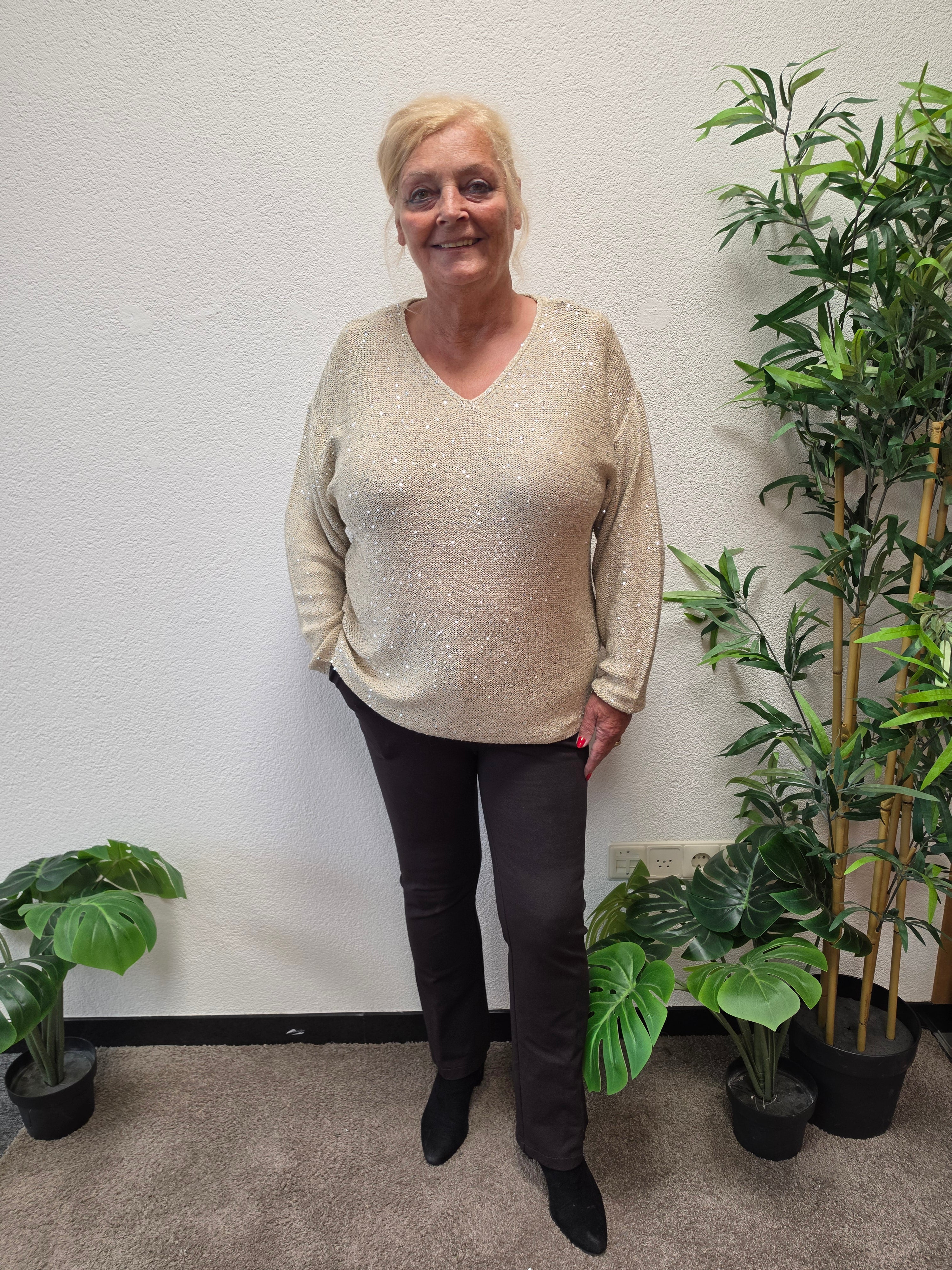 Trui VMC Newleilani Sequins Cement
